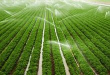 दो सिंचाई योजनाओं के कार्यों के लिए 6.58 करोड़ रूपए स्वीकृत