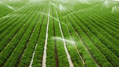 दो सिंचाई योजनाओं के कार्यों के लिए 6.58 करोड़ रूपए स्वीकृत