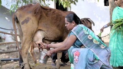 छत्तीसगढ़ का ‘लखपति ग्राम’: हर घर में हैं संपन्न महिलाएँ छत्तीसगढ़ का ‘लखपति ग्राम’: हर घर में हैं संपन्न महिलाएँ