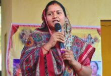 वनांचल में विकास की नई रोशनी : मंत्री  लक्ष्मी राजवाड़े के प्रयासों से आजादी के बाद पहली बार दर्जनों टोलों के विद्युतीकरण को मिली मंजूरी