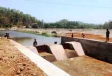 चेकडैम बना ग्रामीण आत्मनिर्भरता का मजबूत आधार, जल संरक्षण से बदली खेती की तस्वीर