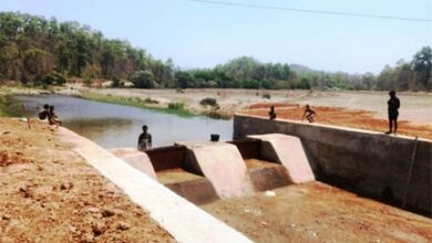 चेकडैम बना ग्रामीण आत्मनिर्भरता का मजबूत आधार, जल संरक्षण से बदली खेती की तस्वीर