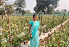 राष्ट्रीय ग्रामीण आजीविका मिशन ‘बिहान’ से बदली तस्वीर