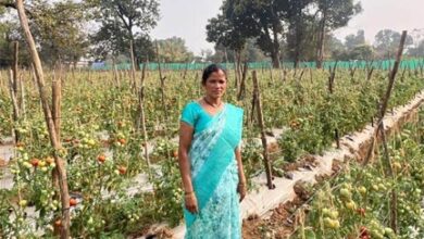 राष्ट्रीय ग्रामीण आजीविका मिशन ‘बिहान’ से बदली तस्वीर