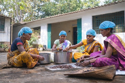 वन धन विकास केंद्र पंचक्की : स्व-सहायता समूहों को 23 लाख से अधिक की वार्षिक आय वन धन विकास केंद्र पंचक्की : स्व-सहायता समूहों को 23 लाख से अधिक की वार्षिक आय