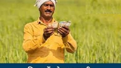 बिल्हा के किसानों को बड़ी सौगात : नेवसा उद्वहन सिंचाई योजना हेतु 48.92 करोड़ रूपए की स्वीकृत