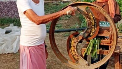 चाफ कटर व आधुनिक तकनीक से बढ़ा दुग्ध उत्पादन, आर्थिक स्थिति में हुआ सुधार