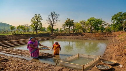 तालाब मेरे लिए केवल एक गड्ढा नहीं, भविष्य की उम्मीद : शासन के 2.75 लाख रुपए से तालाब का निर्माण तालाब मेरे लिए केवल एक गड्ढा नहीं, भविष्य की उम्मीद : शासन के 2.75 लाख रुपए से तालाब का निर्माण