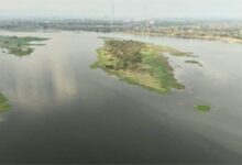 कोरबा की जीवनदायिनी को मिलेगा ’अमृत’: 165 करोड़ से संवरेगी हसदेव की धारा