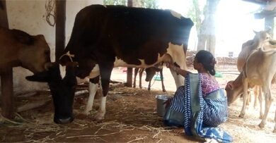 बिहान से बदली जिंदगी: गुंजवती पेगड़ बनीं “लखपति दीदी”