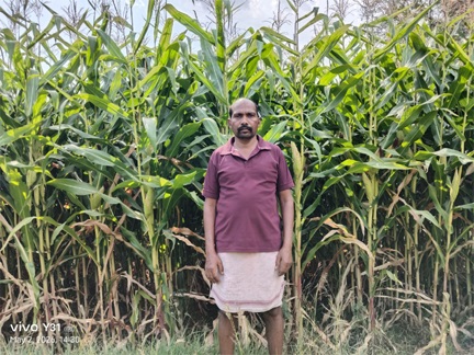 ग्रीष्मकालीन धान के स्थान पर दलहन और मक्का को अपना रहे सरगुजा के किसान