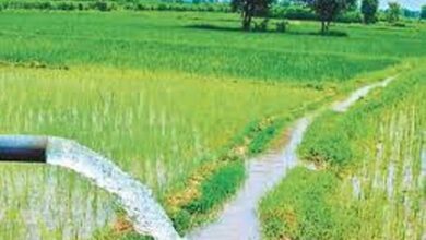 नारंगी उद्वहन सिंचाई योजना के कार्यों के लिए 2.67 करोड़ रुपये अधिक की राशि स्वीकृत