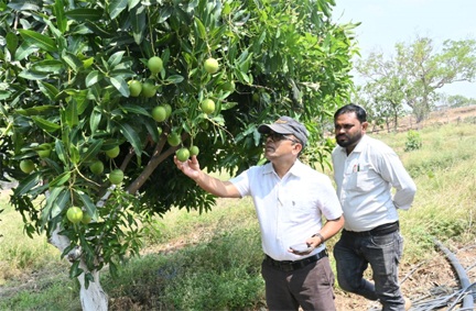 फसल विविधिकरण से बदली किसान कुंवर सिंह मधुकर की तस्वीर