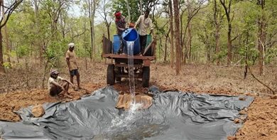 भीषण गर्मी से वन्यजीवों पर संकट, वन विभाग सतर्क