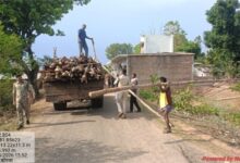 गौरेला क्षेत्र में सागौन की अवैध कटाई पर वन विभाग की बड़ी कार्रवाई