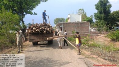 गौरेला क्षेत्र में सागौन की अवैध कटाई पर वन विभाग की बड़ी कार्रवाई