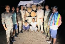 ’अवैध लकड़ी परिवहन पर बड़ी कार्रवाई, 8 नग साल लट्ठा सहित पिकअप वाहन जब्त’