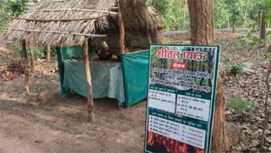 वन विकास निगम की अनूठी पहल : सार्वजनिक प्याऊ से  प्यास भी बुझा रहे, जंगलों को आग से भी बचा रहे