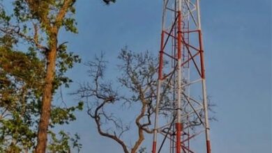 अबूझमाड़ के जंगलों में बजी मोबाइल की घंटी : डिजिटल युग में प्रवेश करता ‘रायनार’ अबूझमाड़ के जंगलों में बजी मोबाइल की घंटी : डिजिटल युग में प्रवेश करता ‘रायनार’