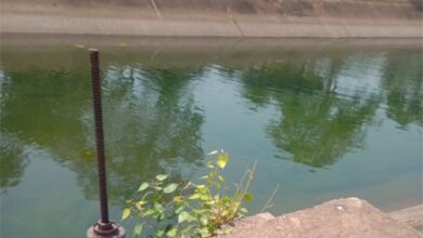 सुशासन तिहार में ग्रामीणों की मांग पर तांदुला जलाशय से नदी और नहरों में छोड़ा गया पानी