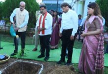 राज्यपाल रमेन डेका ने किया पौधरोपण, कवर्धा कलेक्ट्रेट परिसर में रोपा आम का पौधा, पर्यावरण संरक्षण का दिया संदेश