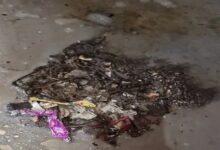 रायपुर में बमबाजी से दहशत, विवाद के चलते घर पर हमला