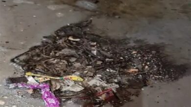 रायपुर में बमबाजी से दहशत, विवाद के चलते घर पर हमला