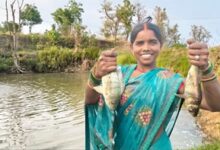 समूह से मिले सहयोग से स्वरोजगार से मिली आत्मनिभर्रता-उमा