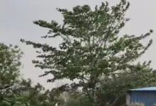 छत्तीसगढ़ में पारा होगा और हाई, 5 दिन तक लू का खतरा