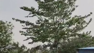 छत्तीसगढ़ में पारा होगा और हाई, 5 दिन तक लू का खतरा