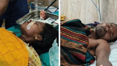 राजनांदगांव: जंगली सूअर का हमला, एक ग्रामीण की हालत गंभीर