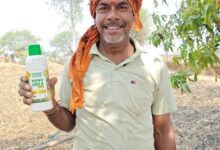 नैनो उर्वरक से बदली किसान रेशम लाल की किस्मत, कम लागत में कमा रहे अच्छा मुनाफा