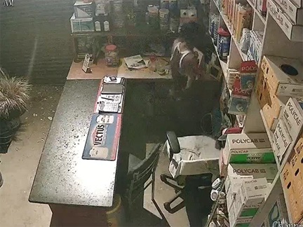 हार्डवेयर शॉप में चोरी, पुलिस जांच में जुटी