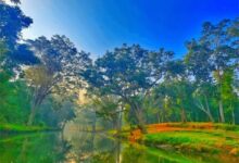 विश्व पर्यावरण दिवस 2026 : हरित विकास, जल संरक्षण और जनभागीदारी से पर्यावरणीय समृद्धि की ओर बढ़ता छत्तीसगढ़