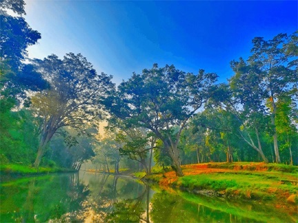 विश्व पर्यावरण दिवस 2026 : हरित विकास, जल संरक्षण और जनभागीदारी से पर्यावरणीय समृद्धि की ओर बढ़ता छत्तीसगढ़