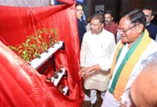 हाइड्रोपोनिक्स तकनीक : खेती का नया और स्मार्ट विकल्प