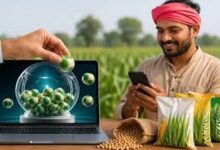 बीज उत्पादन कार्यक्रम के लिए 19 – 24 जून तक पंजीयन
