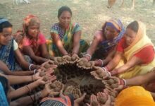 सीड बॉल बनाकर प्रकृति संरक्षण की अनूठी पहल, हरित जशपुर के निर्माण पर जोर सीड बॉल बनाकर प्रकृति संरक्षण की अनूठी पहल, हरित जशपुर के निर्माण पर जोर