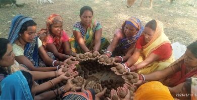 सीड बॉल बनाकर प्रकृति संरक्षण की अनूठी पहल, हरित जशपुर के निर्माण पर जोर सीड बॉल बनाकर प्रकृति संरक्षण की अनूठी पहल, हरित जशपुर के निर्माण पर जोर