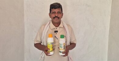 समय पर उर्वरक, मजबूत खेती : किसान बिझवार सिंह पटेल ने सराही शासन की व्यवस्था समय पर उर्वरक, मजबूत खेती : किसान बिझवार सिंह पटेल ने सराही शासन की व्यवस्था