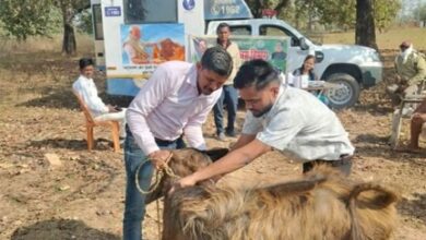 एक कॉल पर घर पहुंच रही पशु चिकित्सा सेवा, ग्रामीण पशुपालकों के लिए वरदान बनी मोबाइल यूनिट