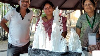 सृजन का कमाल: ‘आकार-2026’ में सिपोरेक्स और थर्माकोल से गढ़ी गई कला की नई दुनिया सृजन का कमाल: ‘आकार-2026’ में सिपोरेक्स और थर्माकोल से गढ़ी गई कला की नई दुनिया