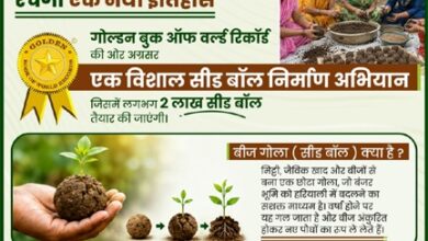 ‘बीज गोला बनाबो-जशपुर के जंगल ला बढ़ाबो” महाअभियान की शुरुआत