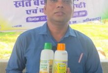 नैनो उर्वरकों के वैज्ञानिक उपयोग से बढ़ेगा उत्पादन, मिट्टी की उर्वरता भी रहेगी सुरक्षित