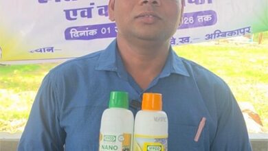 नैनो उर्वरकों के वैज्ञानिक उपयोग से बढ़ेगा उत्पादन, मिट्टी की उर्वरता भी रहेगी सुरक्षित नैनो उर्वरकों के वैज्ञानिक उपयोग से बढ़ेगा उत्पादन, मिट्टी की उर्वरता भी रहेगी सुरक्षित