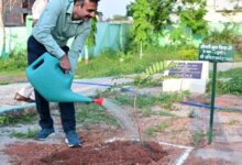 प्रभारी सचिव अंकित आनंद ने ‘एक पेड़ माँ के नाम’ अभियान के तहत किया पौधरोपण प्रभारी सचिव अंकित आनंद ने ‘एक पेड़ माँ के नाम’ अभियान के तहत किया पौधरोपण