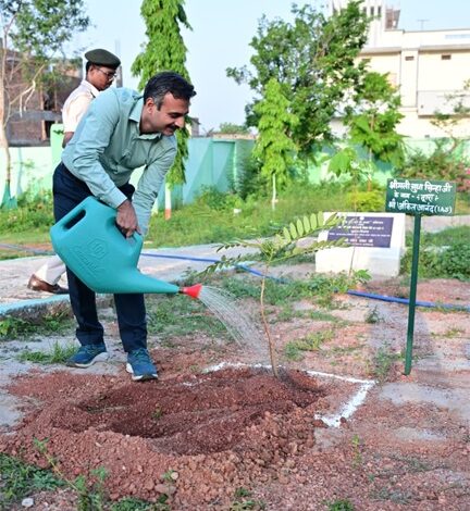 प्रभारी सचिव अंकित आनंद ने ‘एक पेड़ माँ के नाम’ अभियान के तहत किया पौधरोपण