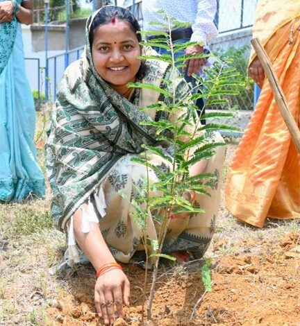 विश्व पर्यावरण दिवस पर मंत्री लक्ष्मी राजवाड़े ने किया पौधरोपण