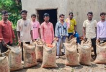 खरीफ सीजन की तैयारी पूरी, किसानों को समय पर मिल रहे हैं बीज और उर्वरक