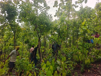 पर्यावरण संरक्षण की अनूठी मिसाल पर्यावरण संरक्षण की अनूठी मिसाल